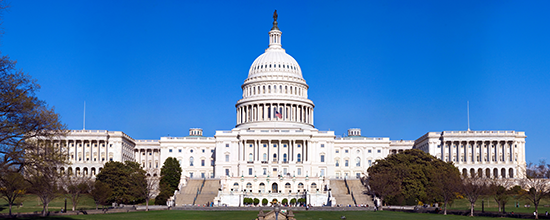 U.S. Capitol Building