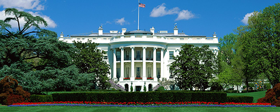 The White House
